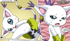 Cómic Gatomon en celo 2