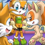 Proyecto Sonic XXX – Parte 2.5