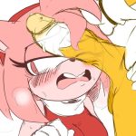 [Pleasure Castle] Sonic No Tiene Que Saberlo